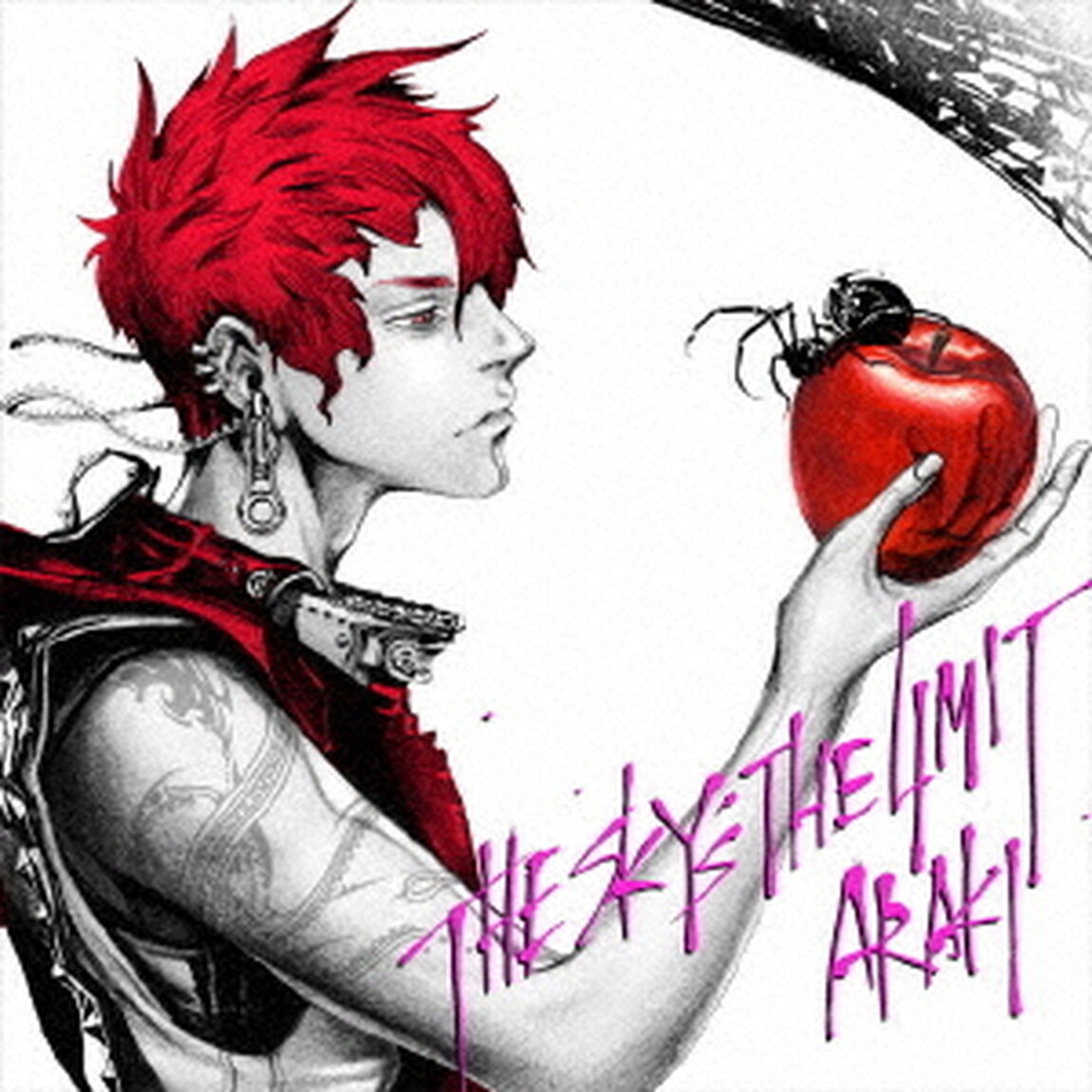 THE　SKY&rsquo;S　THE　LIMIT（ＣＤ）