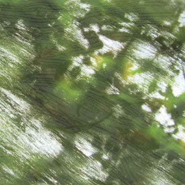 蟲師　The　Sore　Feet　Song　C／W　蟲宴（ＣＤ）