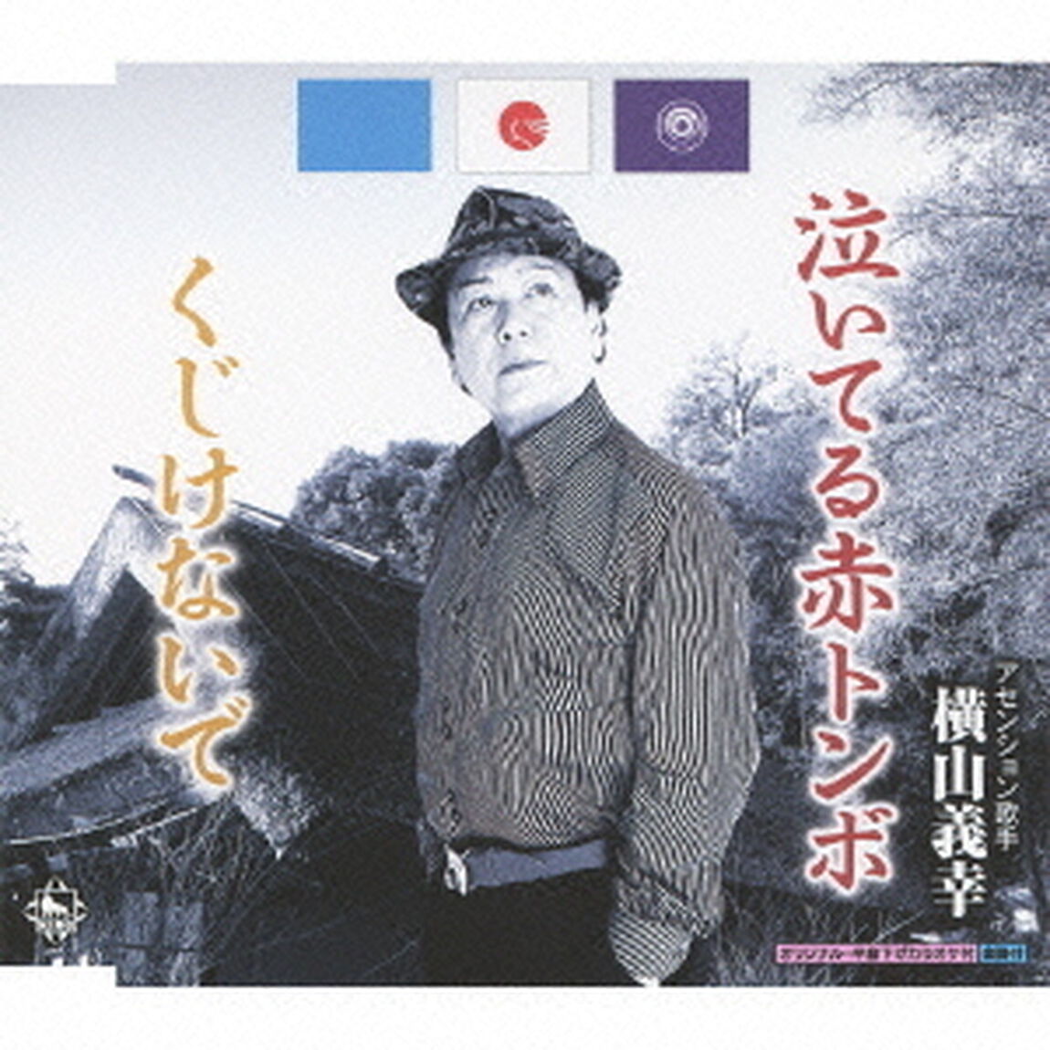 泣いてる赤トンボ（CDシングル）