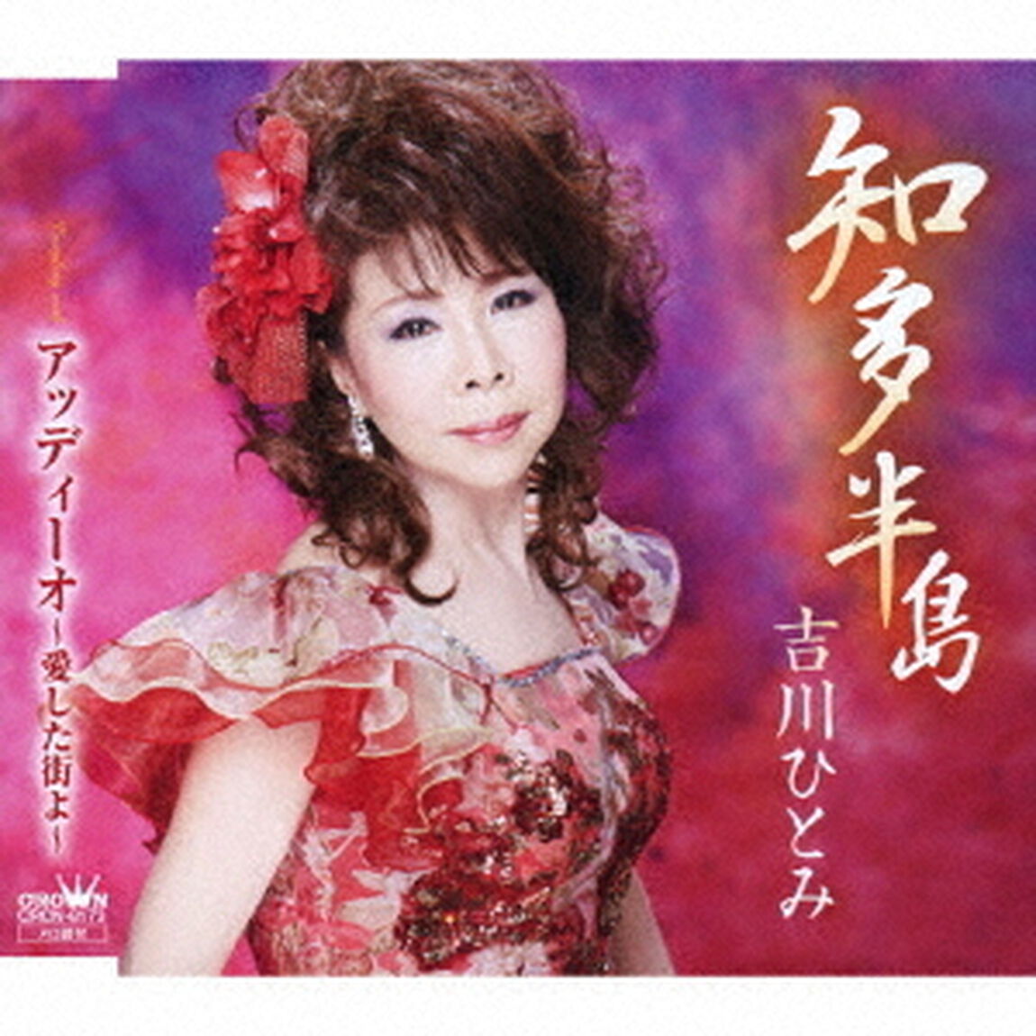 知多半島（ＣＤ）