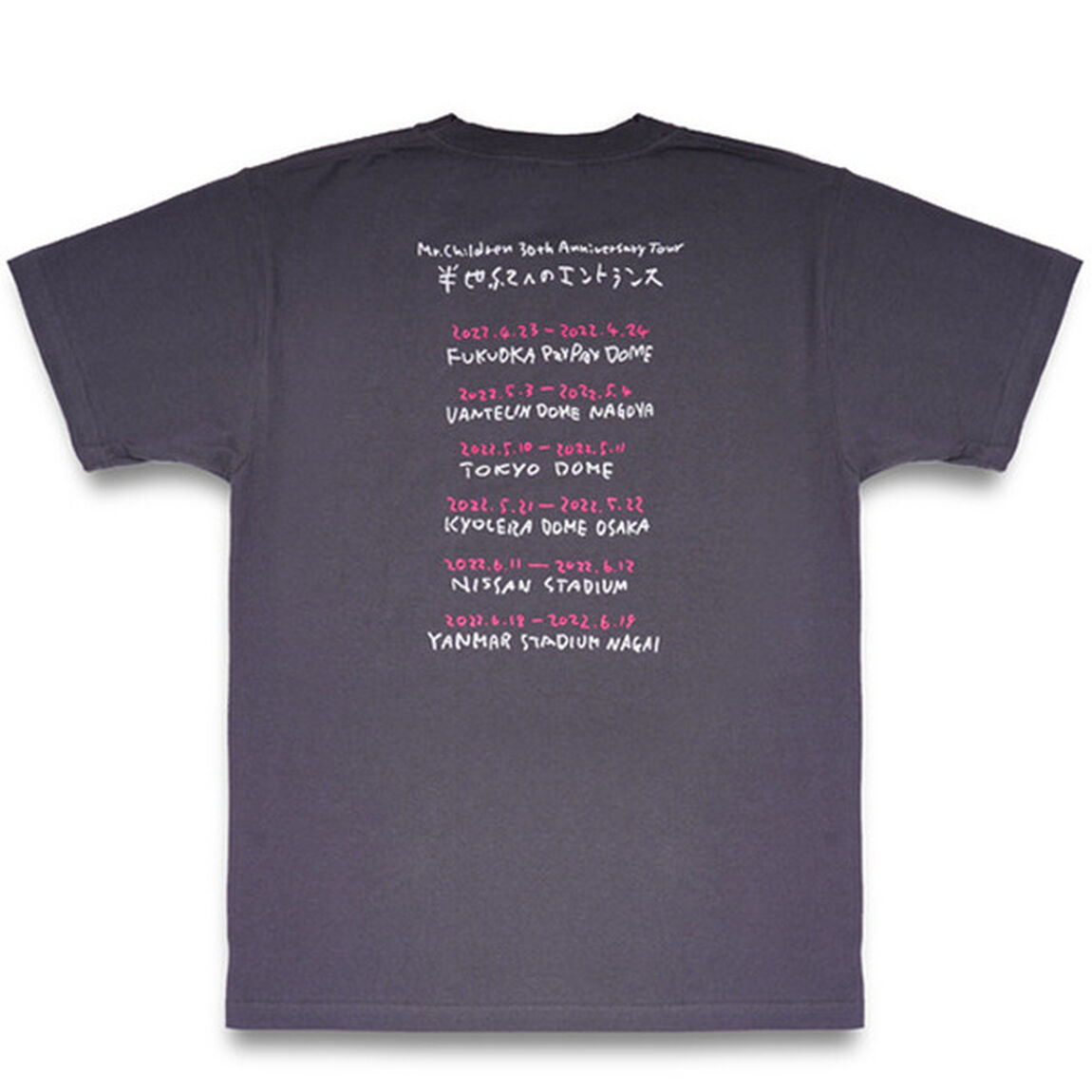Mr.Children 30th Anniversary Tour／エントランス(Typo) Tシャツ　CHARCOAL GRAY XS（その他）