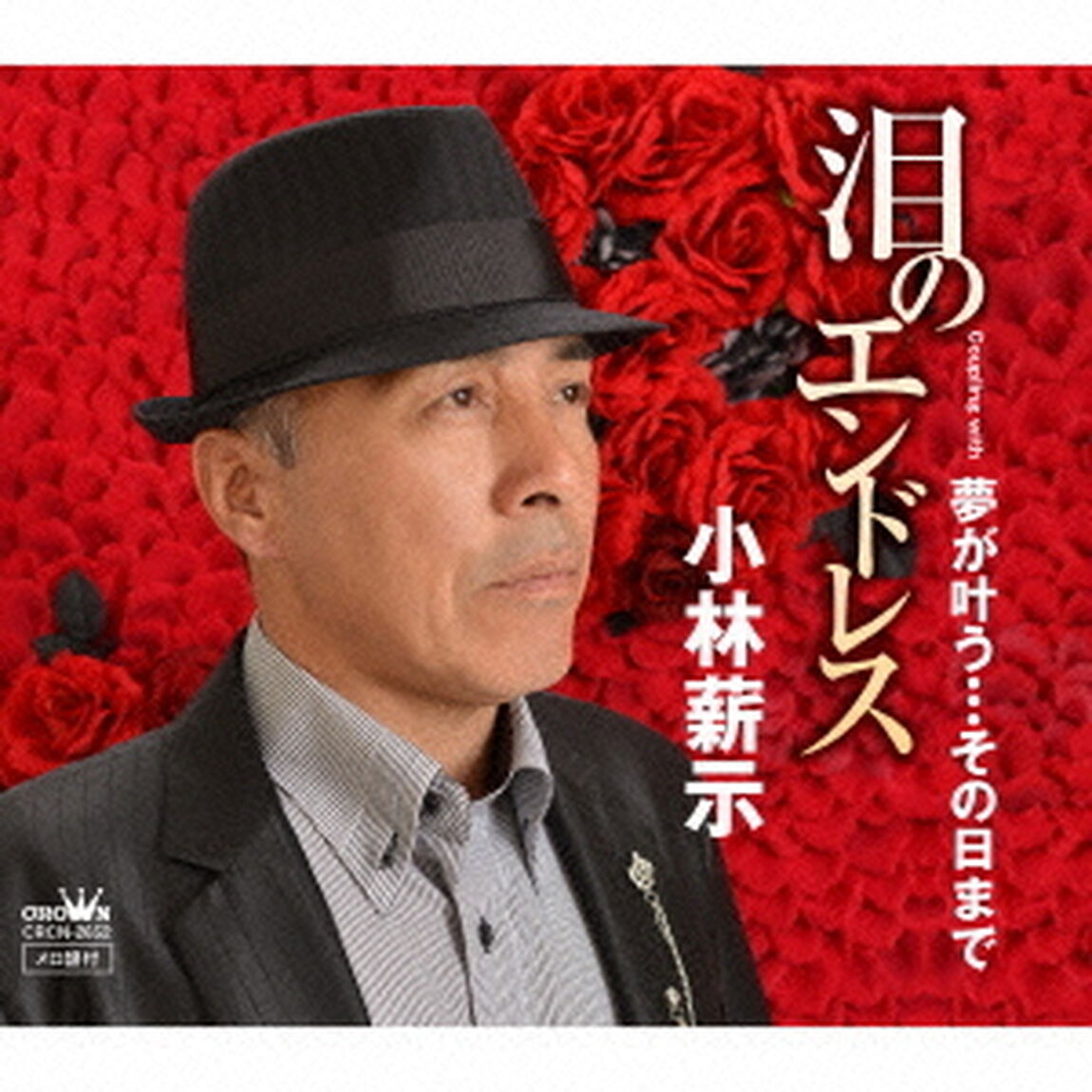 泪のエンドレス／夢が叶う&hellip;その日まで（ＣＤ）