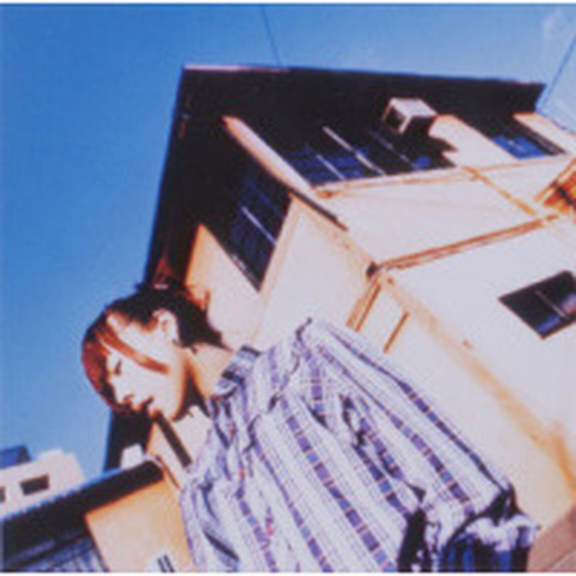 桜の木の下（ＣＤ）