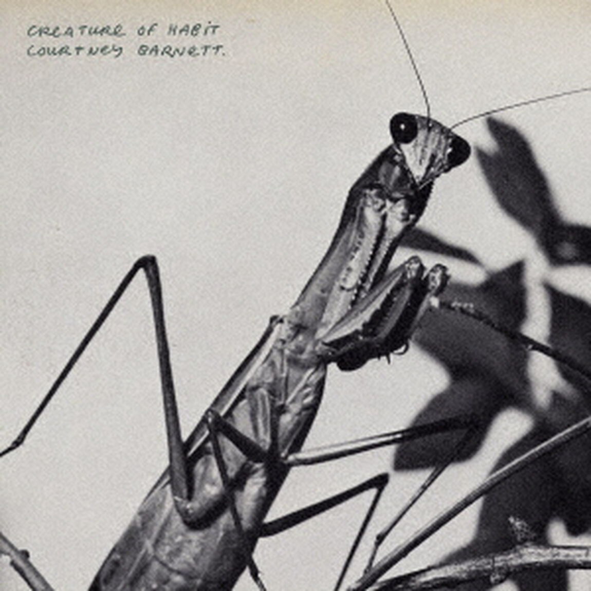 Creature　Of　Habit（ＣＤ）