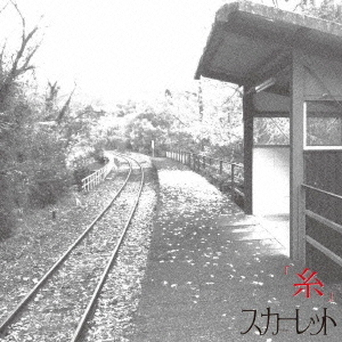 糸（ＣＤ）