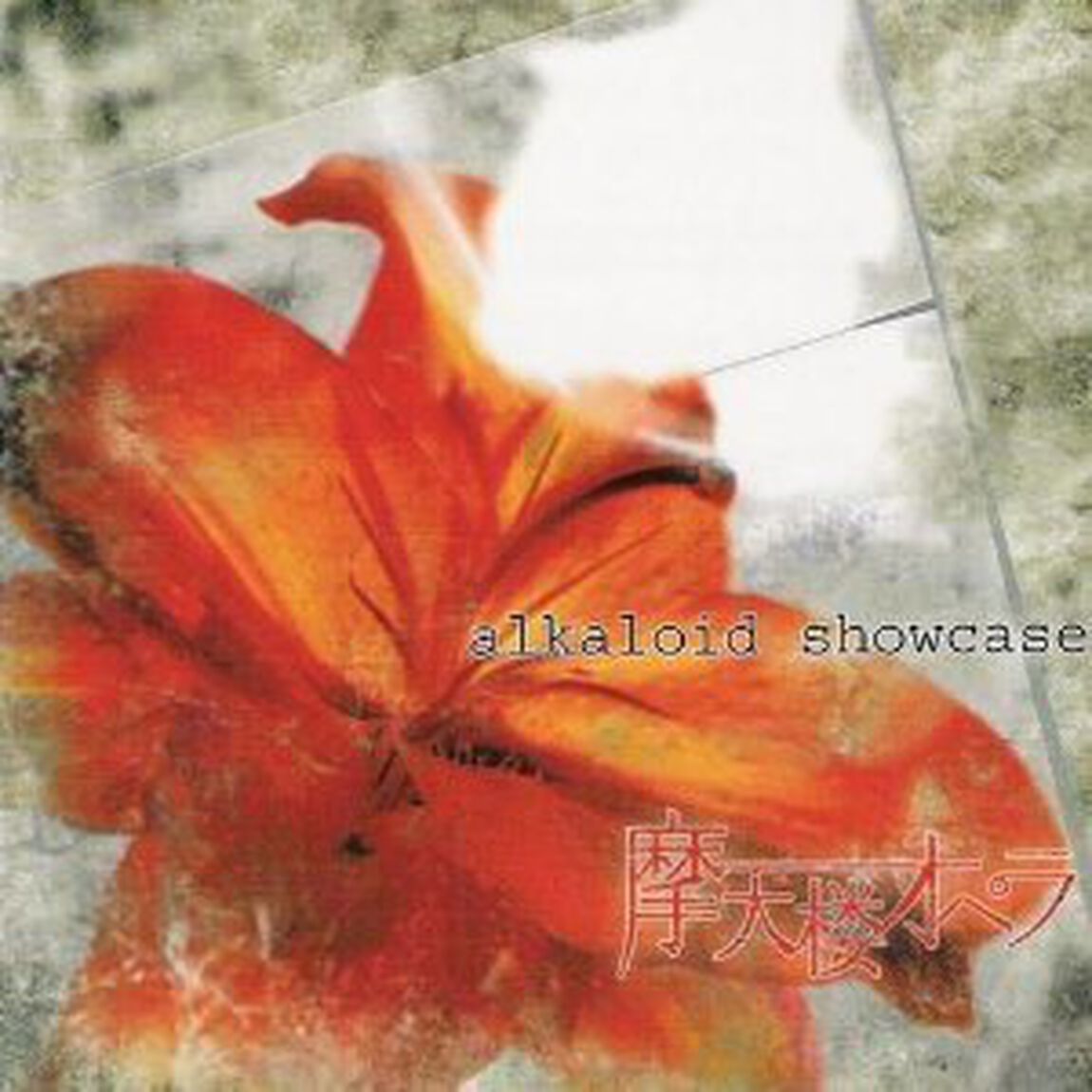 alkaloid　showcase（ＣＤ）