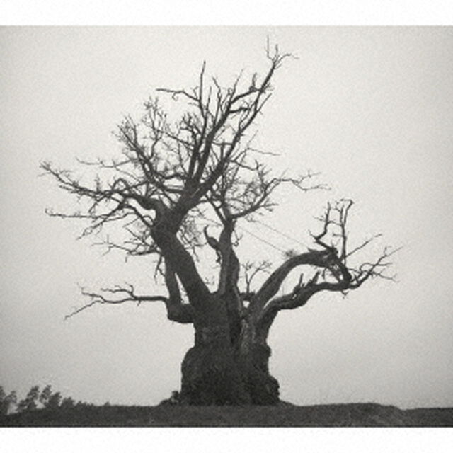 SEKAI NO OWARI／SEKAI NO OWARI 2010-2019（初回限定盤／2CD＋LIVE DVD）（ＣＤ）