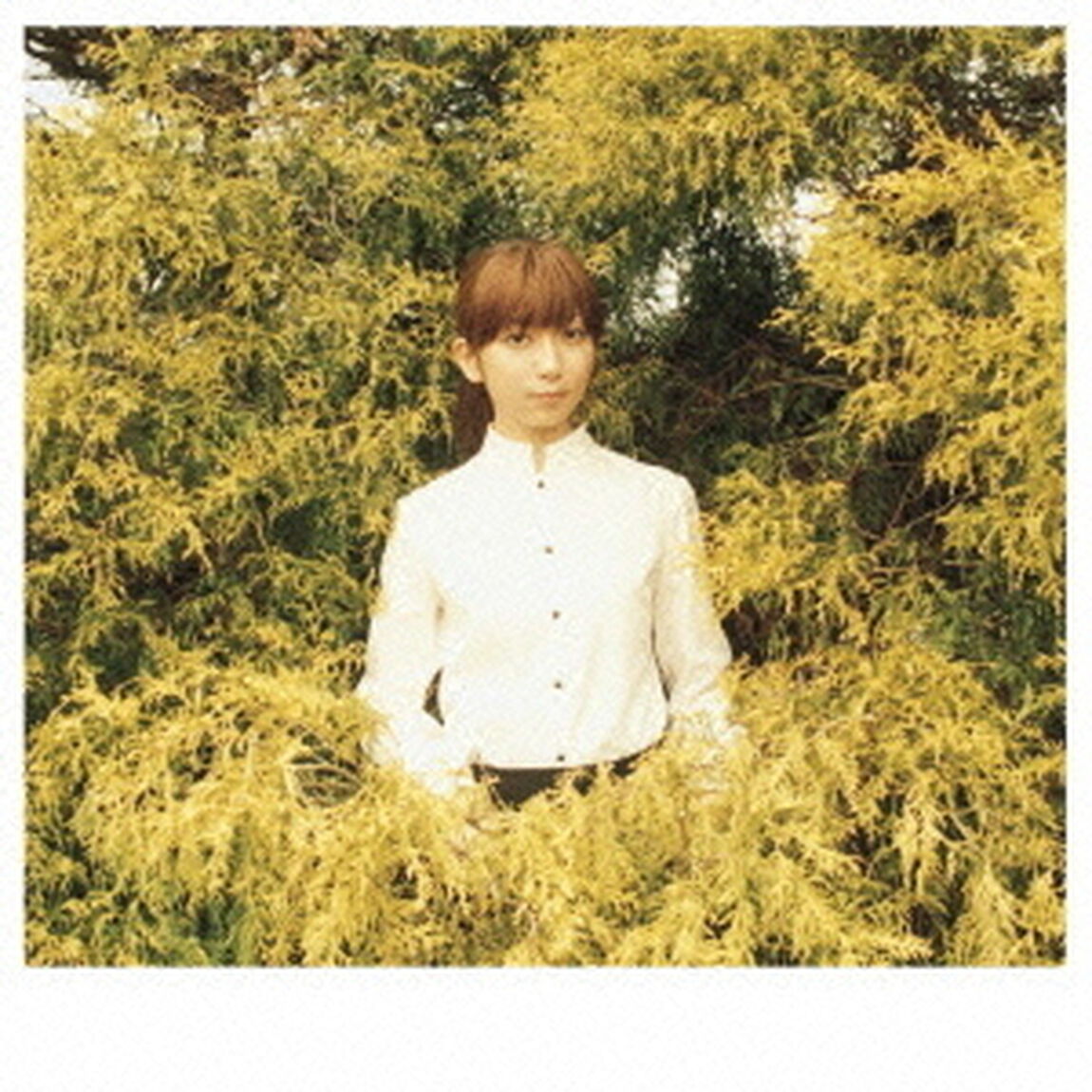 美しき麗しき日々（ＣＤ）