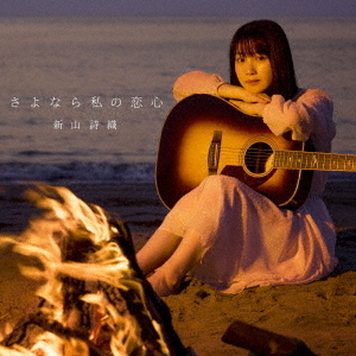 さよなら私の恋心（ＣＤ）