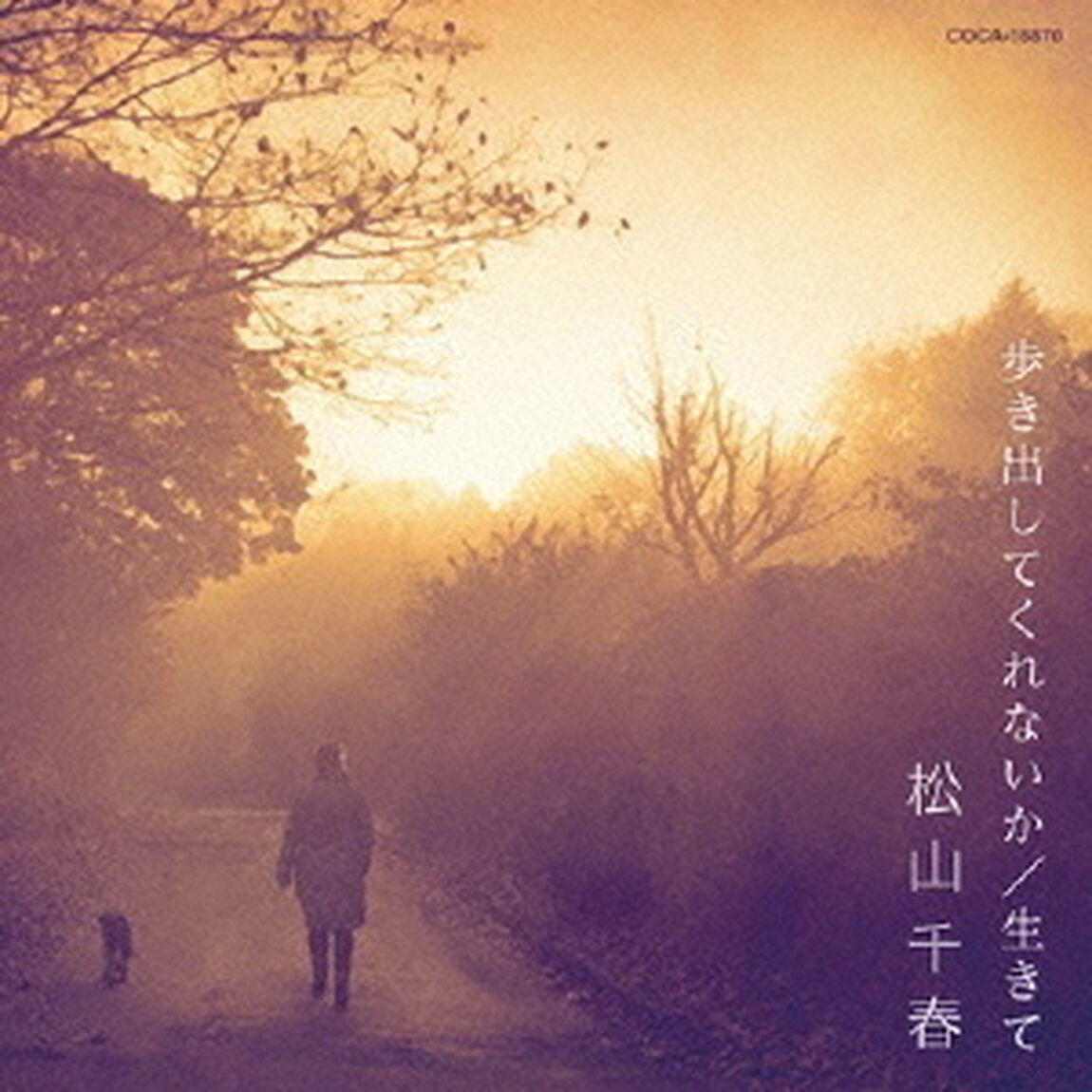 歩き出してくれないか／生きて（ＣＤ）