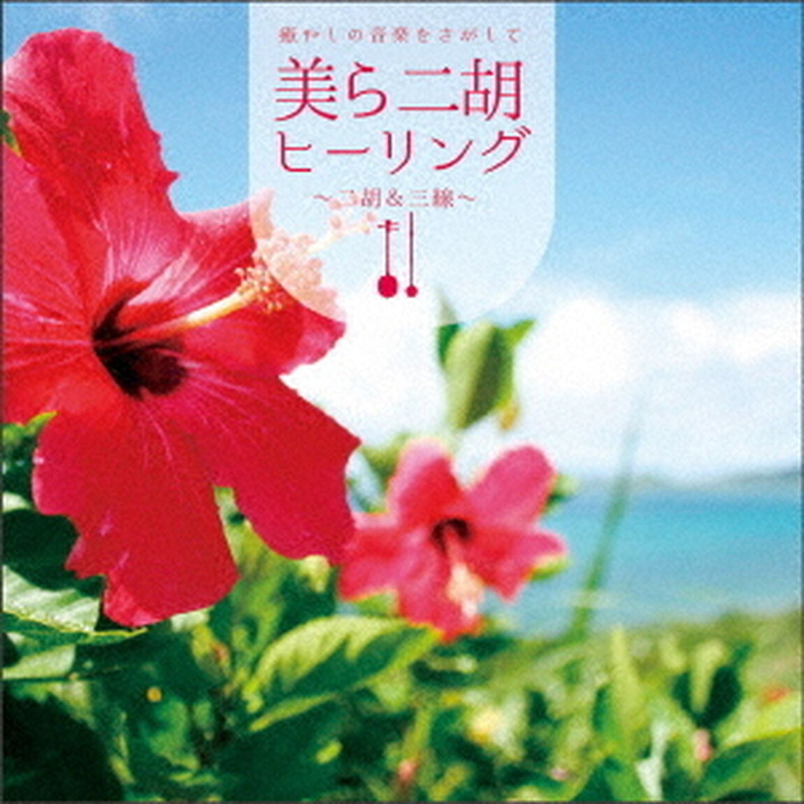 癒やしの音楽をさがして　美ら二胡ヒーリング〜二胡＆三線（ＣＤ）