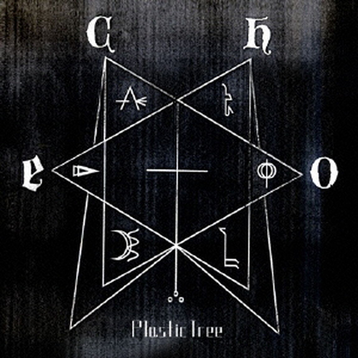 echo（ＣＤ）