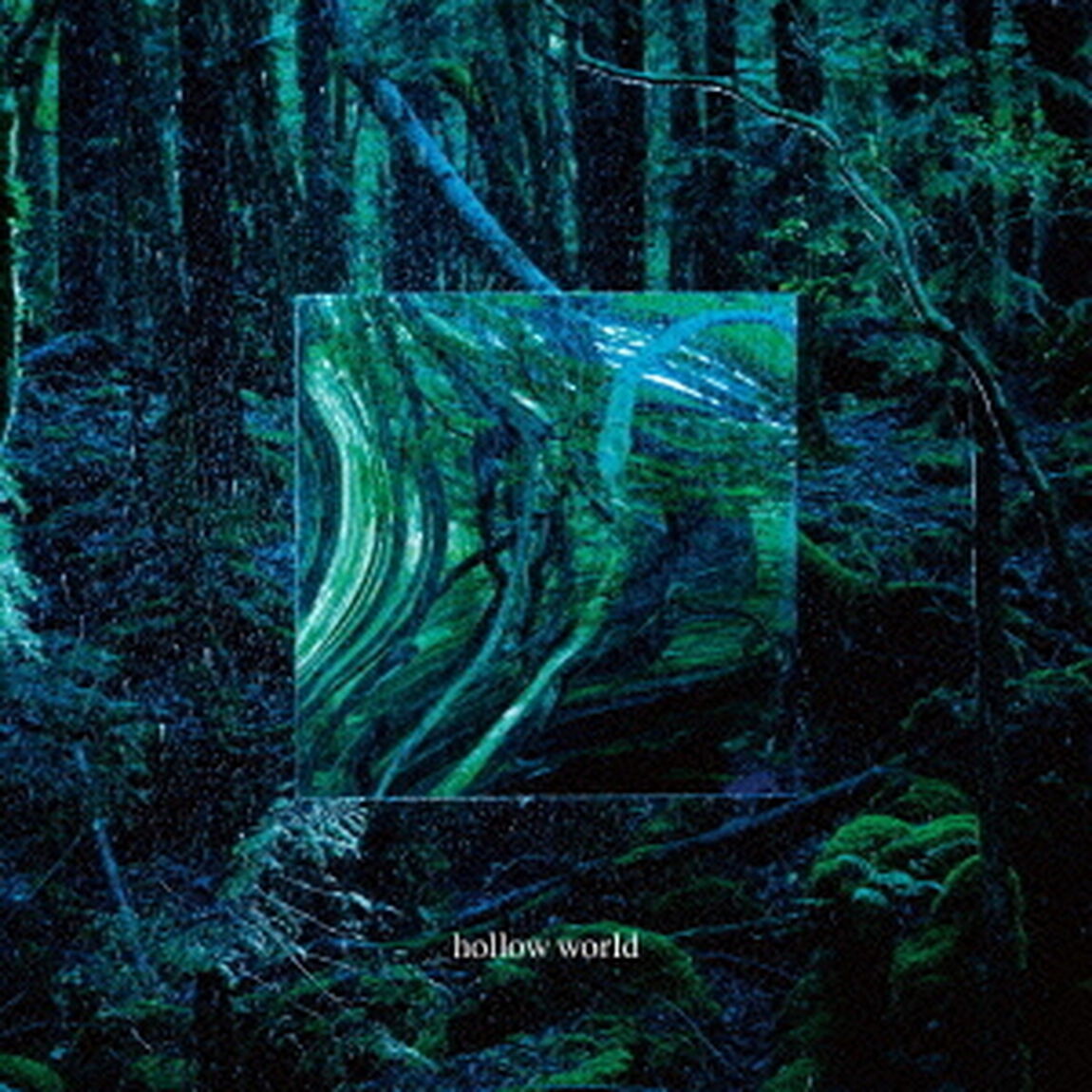 hollow world（ＣＤ）