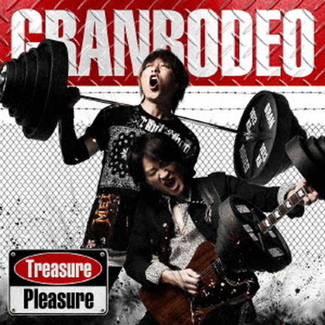 Treasure　Pleasure（ＣＤ）