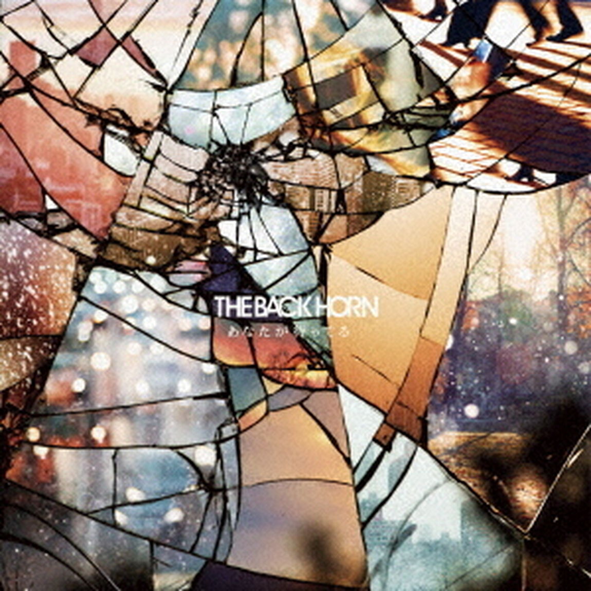 THE BACK HORN／あなたが待ってる【初回限定盤】（ＣＤ）