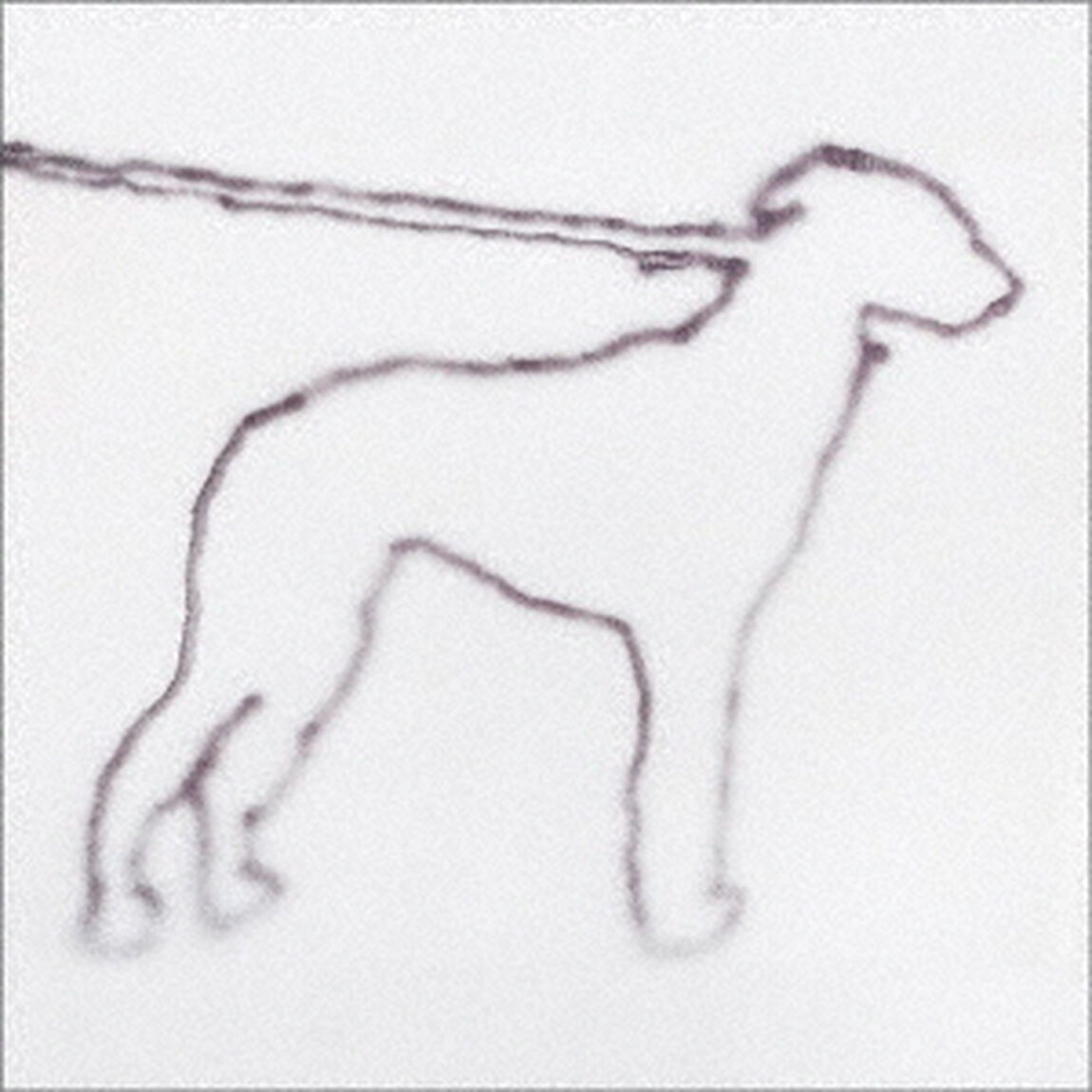portrait　of　a　dog（ＣＤ）