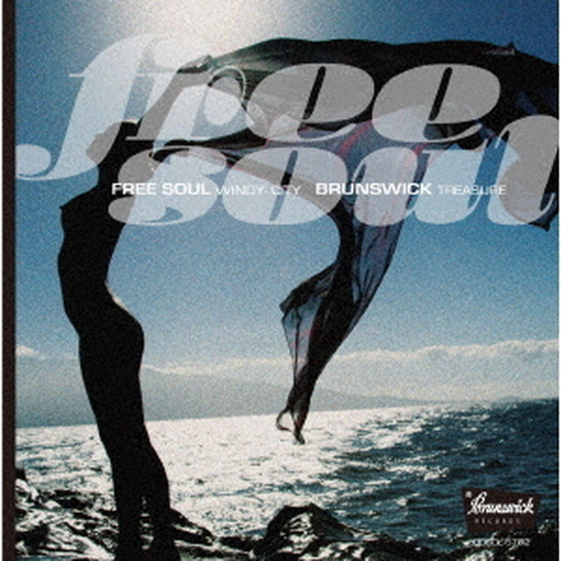 フリー・ソウル・ウィンディ・シティ〜ブランズウィック・トレジャー（ＣＤ）