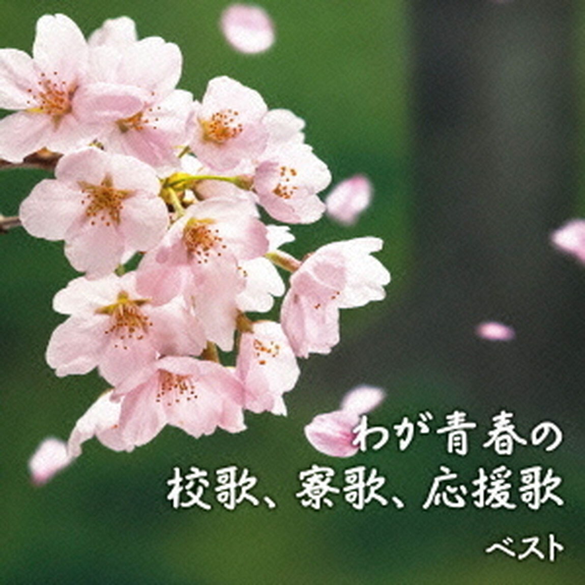 わが青春の校歌、寮歌、応援歌（ＣＤ）