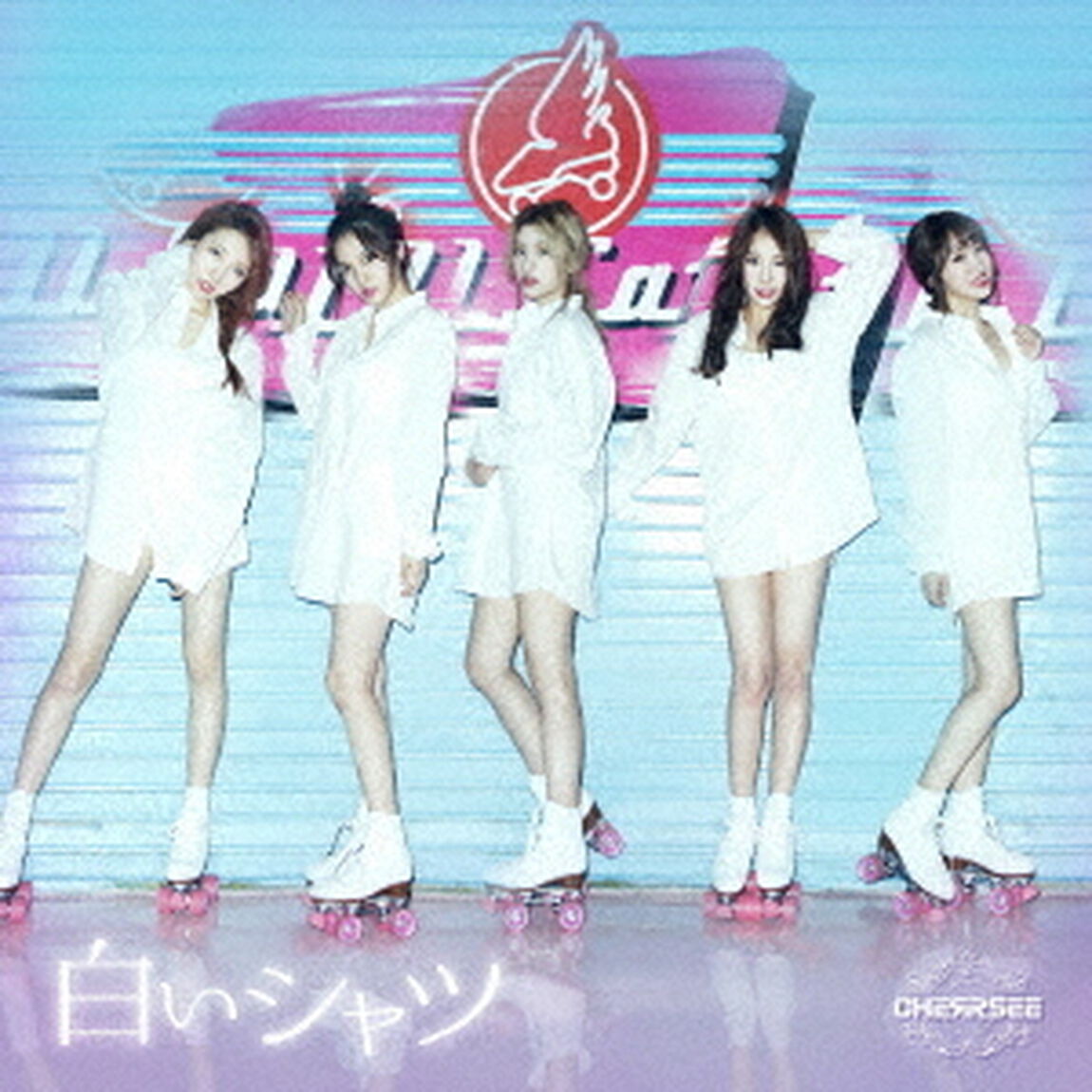 白いシャツ（ＣＤ）