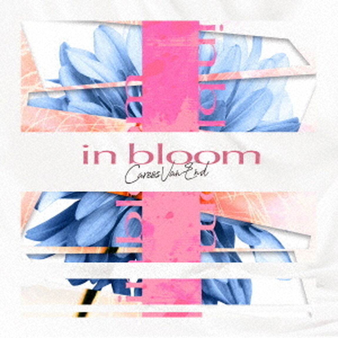 in　bloom（ＣＤ）
