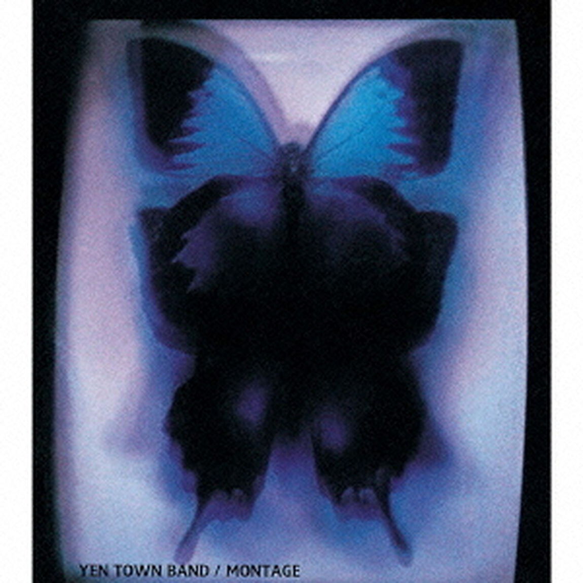 MONTAGE（ＣＤ）