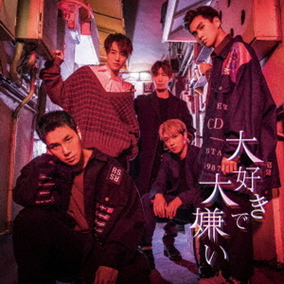 大好きで大嫌い（ＣＤ）