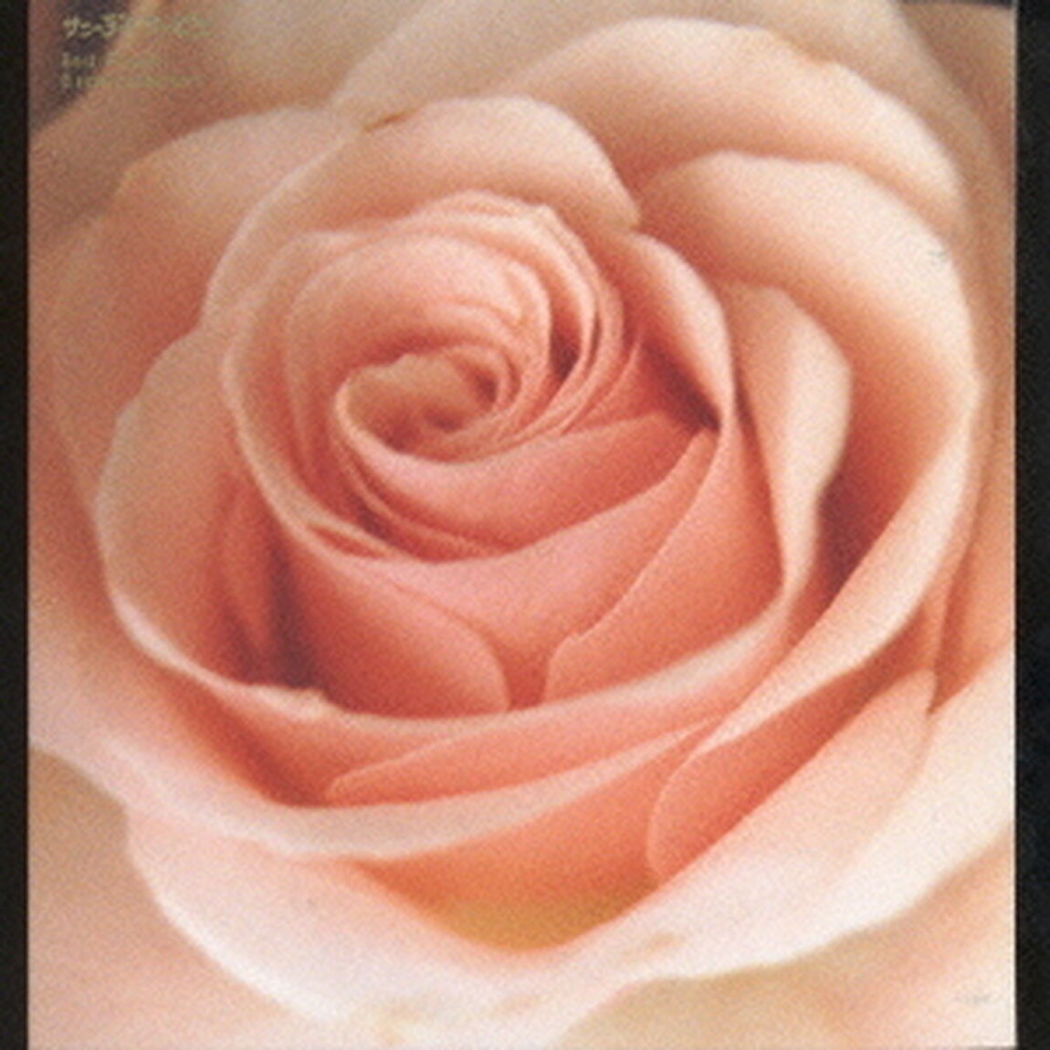 Best　Flower　－B　side　collection－（ＣＤ）