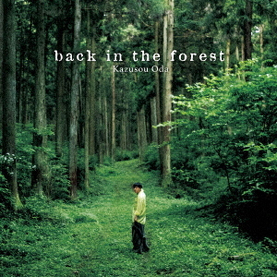 back　in　the　forest（ＣＤ）