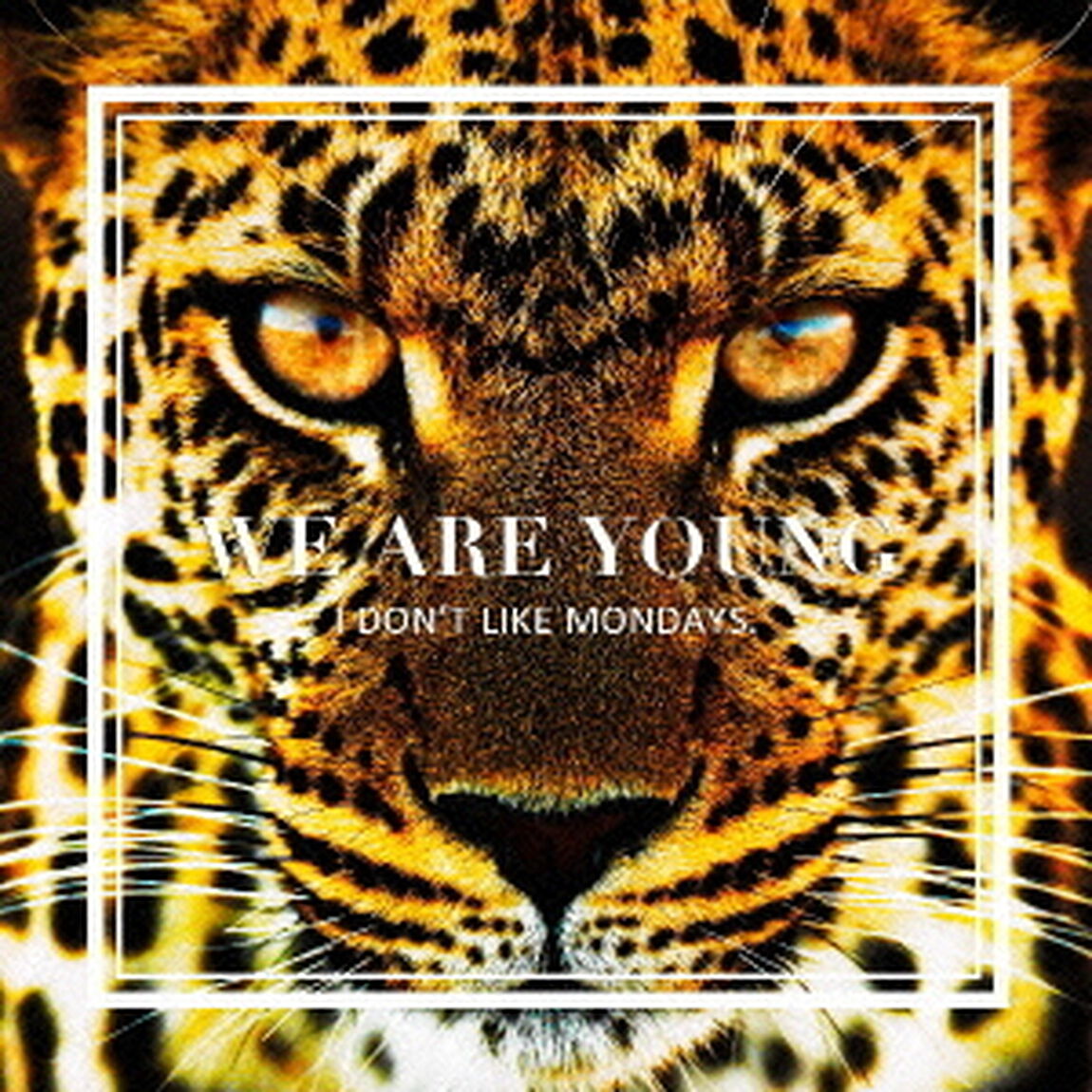 WE　ARE　YOUNG／Super　Special（ＣＤ）