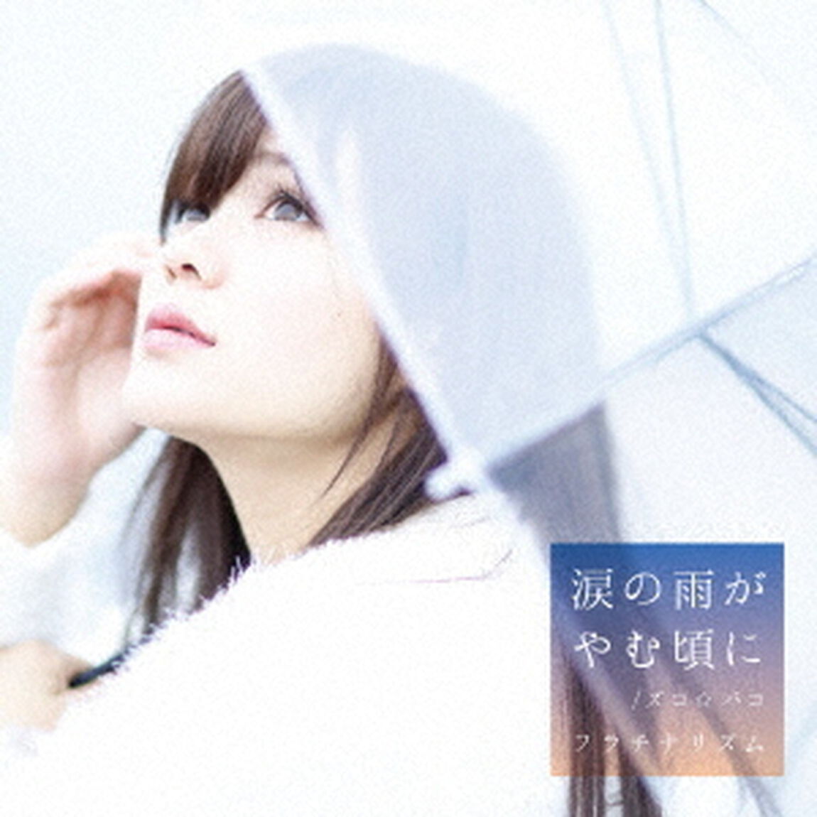 涙の雨がやむ頃に／ズコ☆バコ（ＣＤ）
