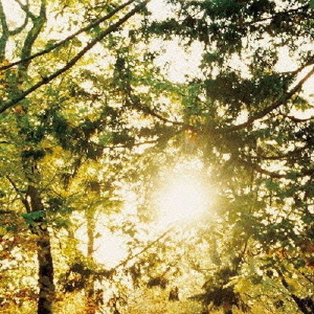 still　have　nothing　to　be　sure（ＣＤ）