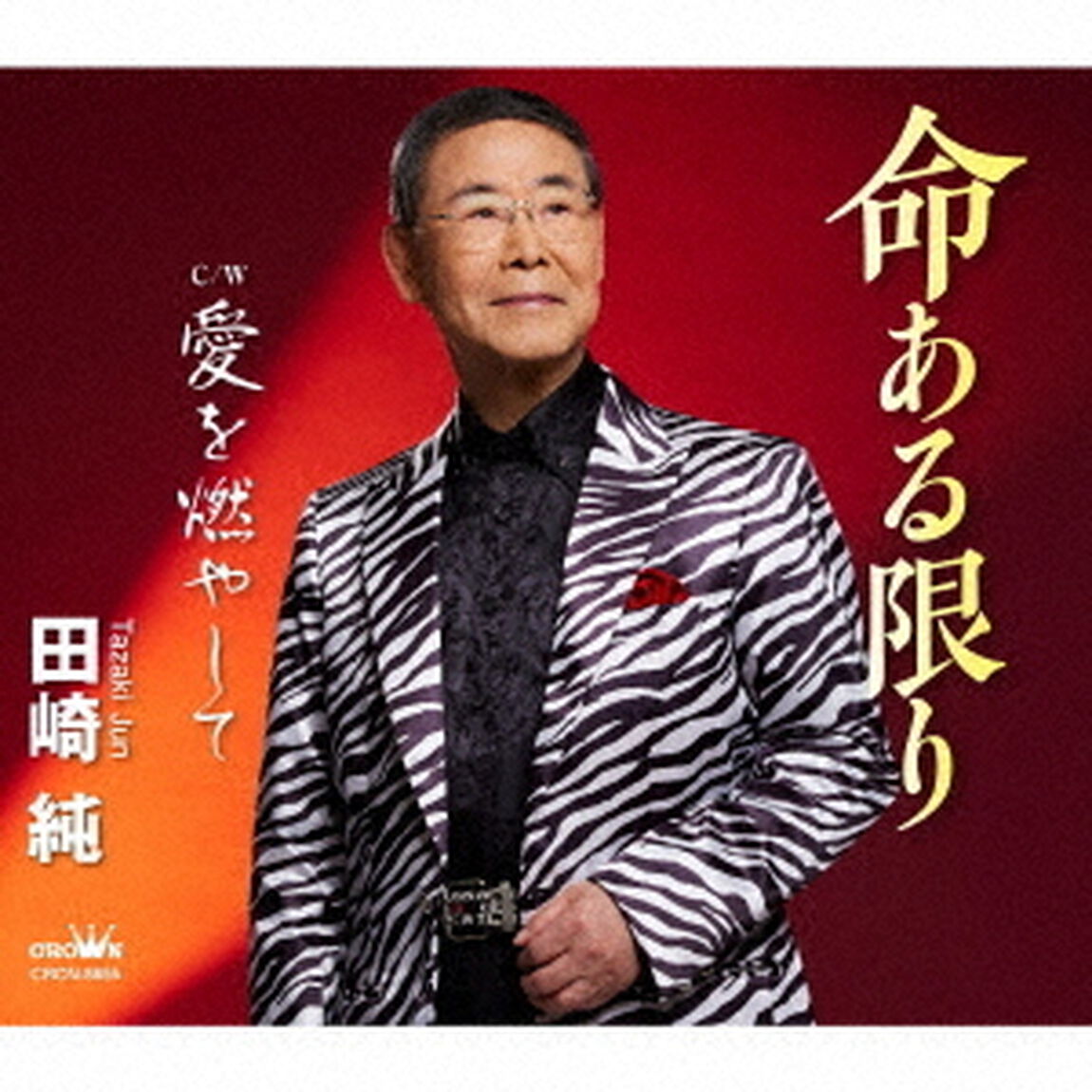 命ある限り　c／w　愛を燃やして（ＣＤ）