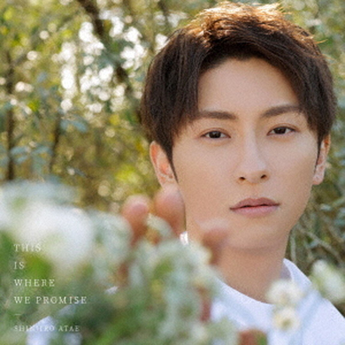 SHINJIRO ATAE from AAA／THIS IS WHERE WE PROMISE（CD）（セブンネット限定特典：アクリルキーホルダー）（ＣＤ）