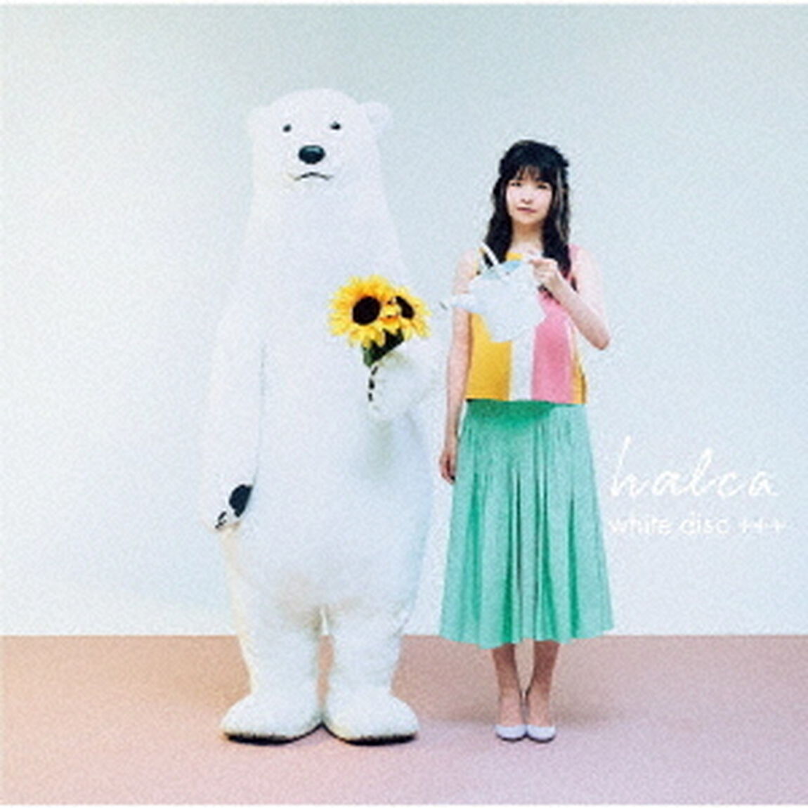 white　disc　＋＋＋（ＣＤ）