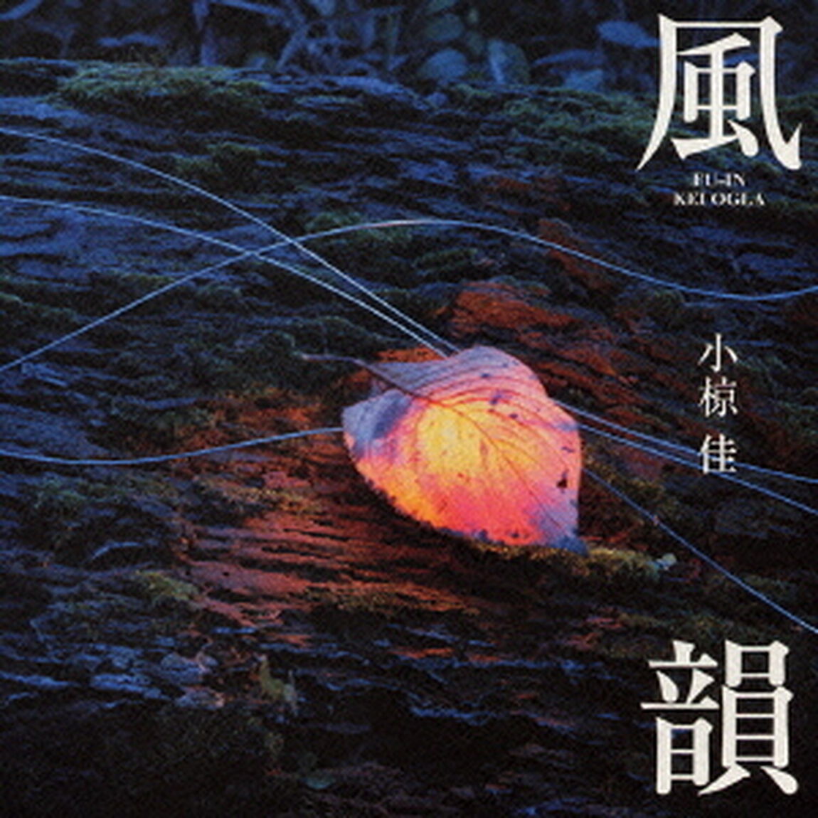 風韻　〜提供楽曲セルフカヴァー集〜（ＣＤ）