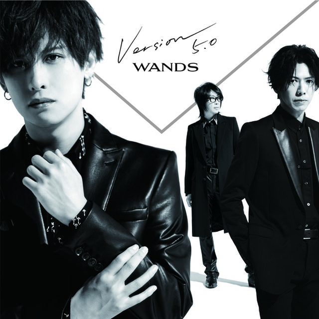 WANDS／Version 5.0（通常盤／CD）（ＣＤ）