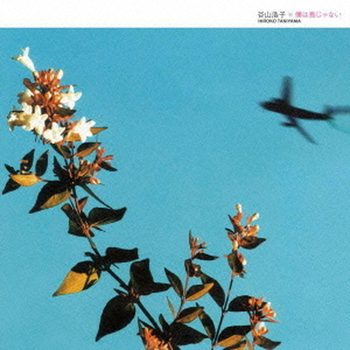 僕は鳥じゃない（ＣＤ）