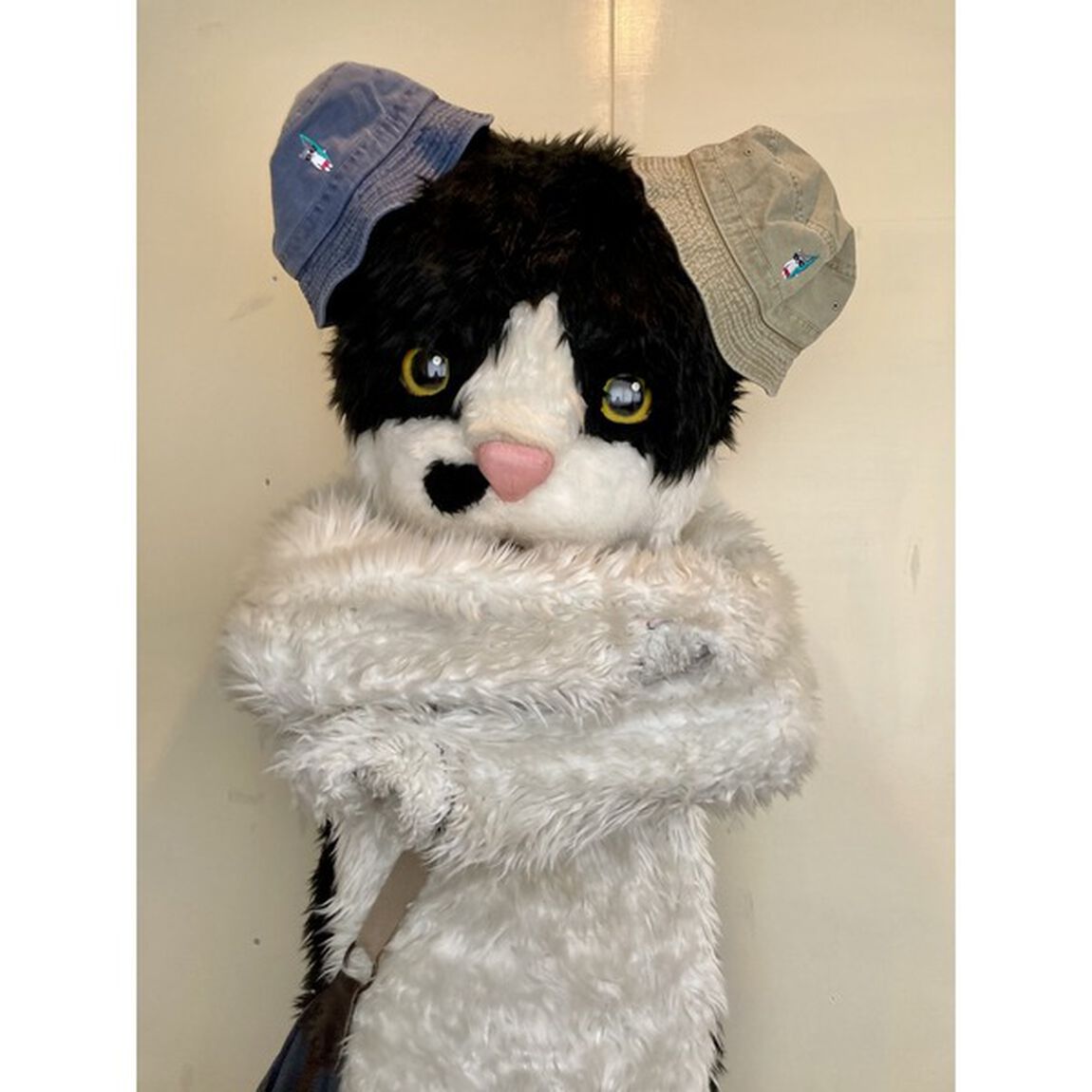 むぎ(猫)／良い波待ってる！むぎバケットハット（ネイビー）（その他）