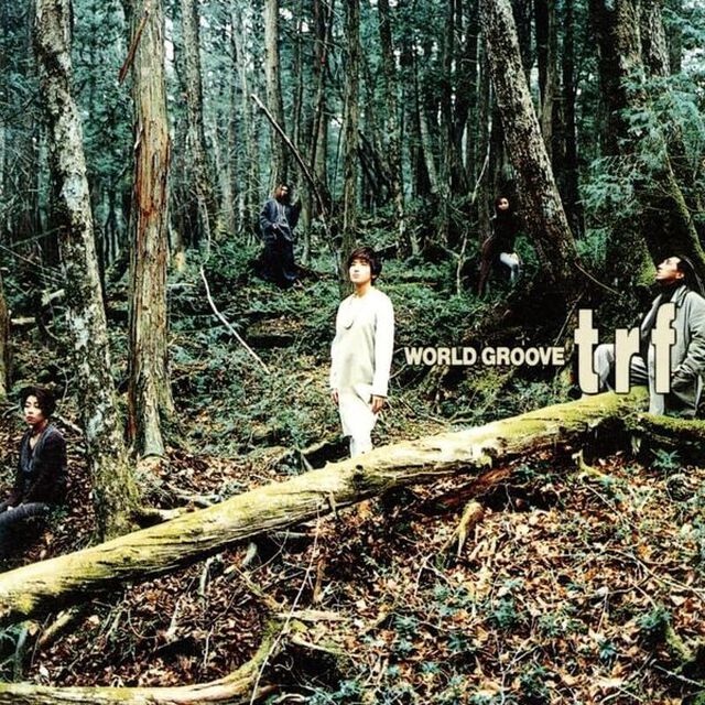 TRF／WORLD GROOVE（アナログ（12インチ）2枚組）（アナログ盤）（LP盤（アナログ盤））