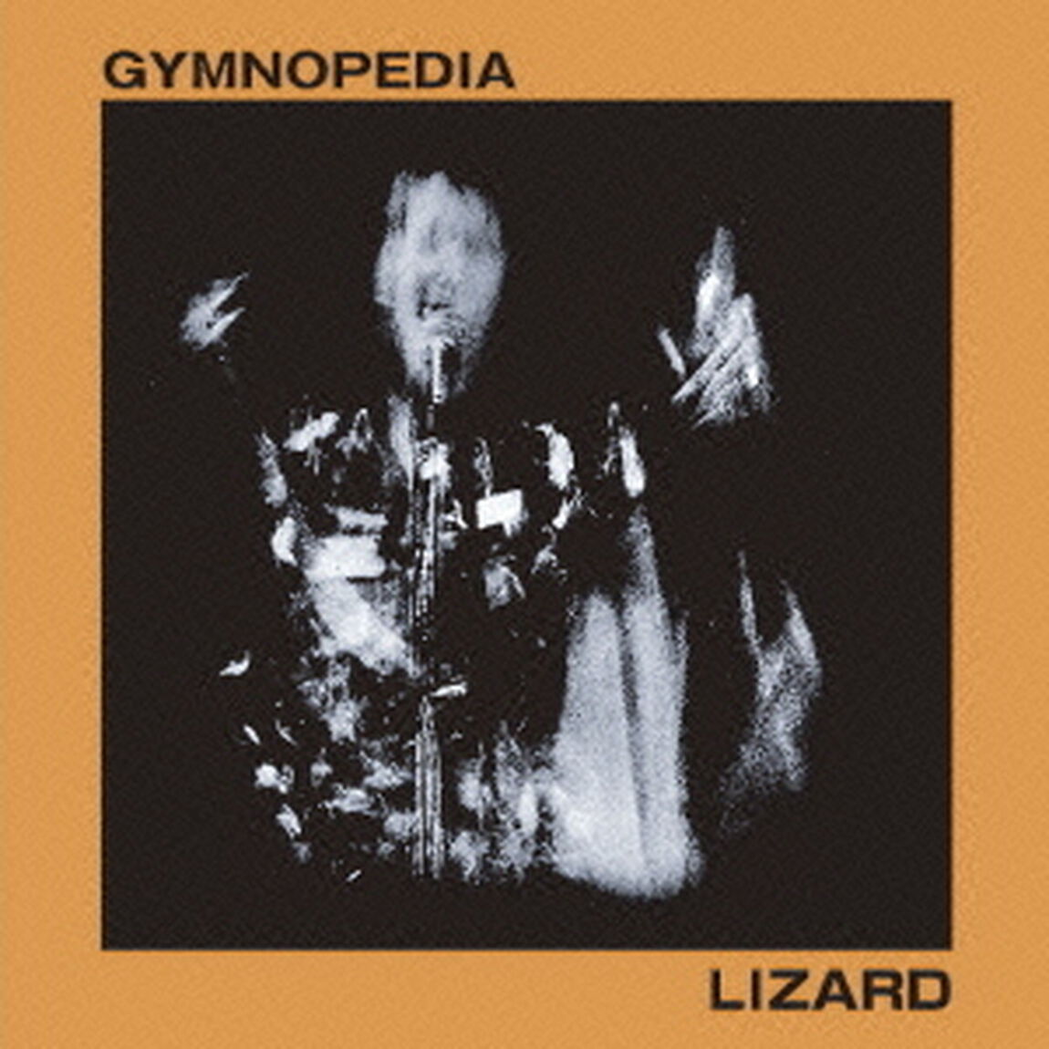 GYMNOPESDIA（ＣＤ）