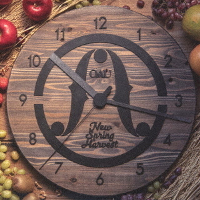 OAU／New Spring Harvest（CD+DVD）（特典なし）（ＣＤ）