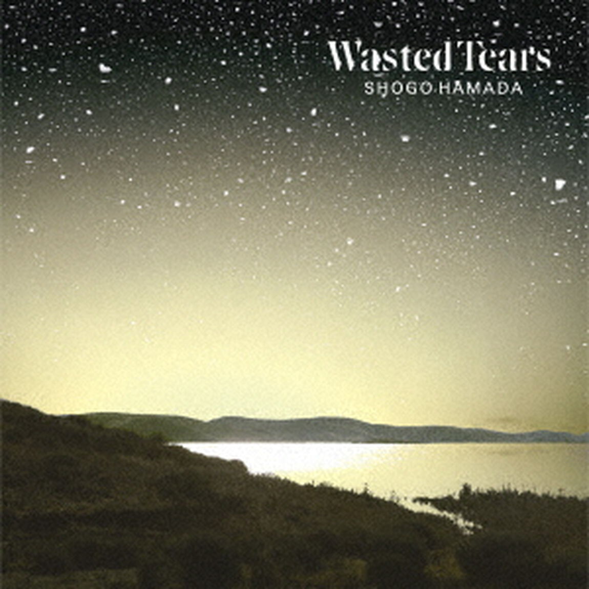 浜田省吾／Wasted Tears（完全生産限定盤／LP）（アナログ盤）（LP盤（アナログ盤））