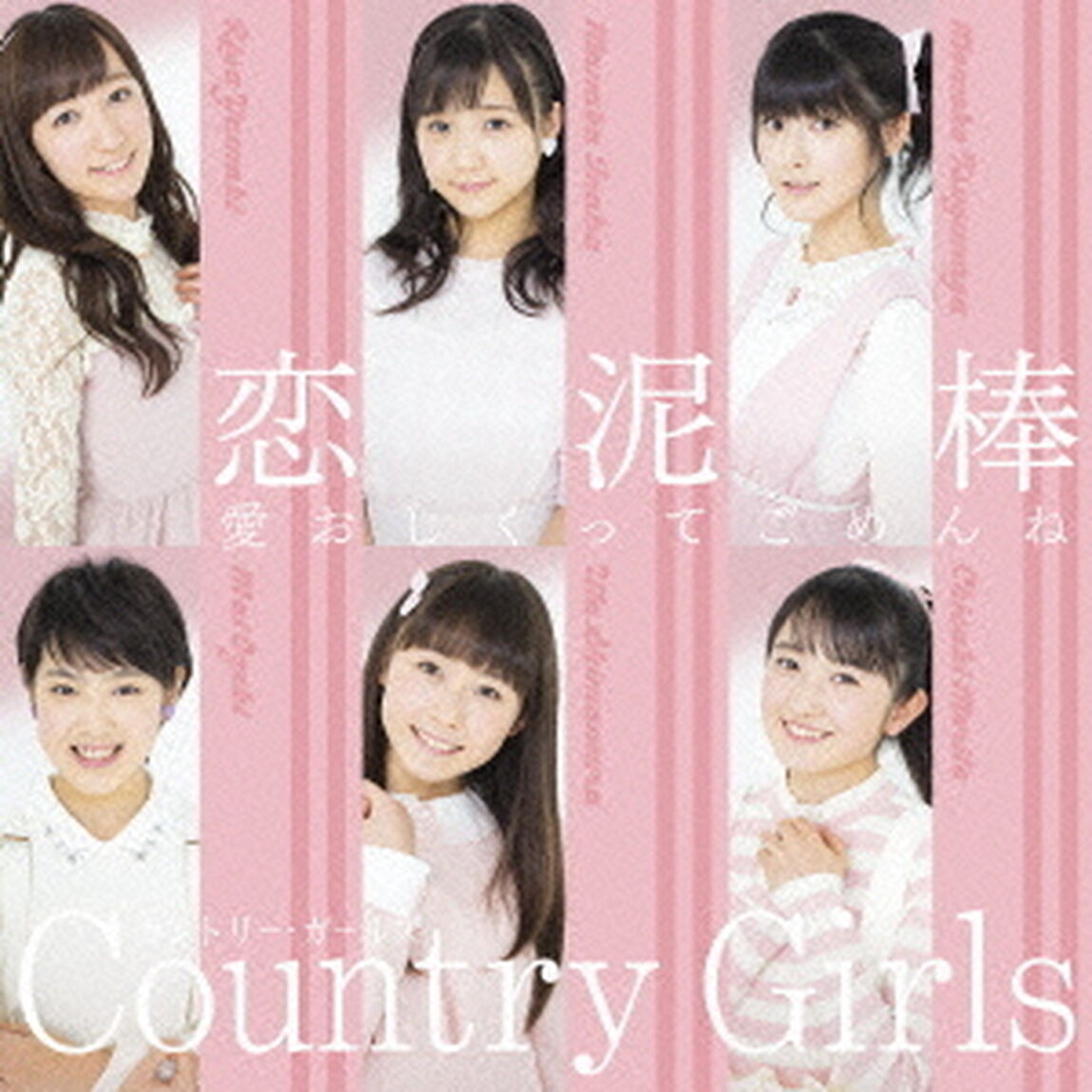 愛おしくってごめんね／恋泥棒（初回生産限定盤B）（CDシングル）