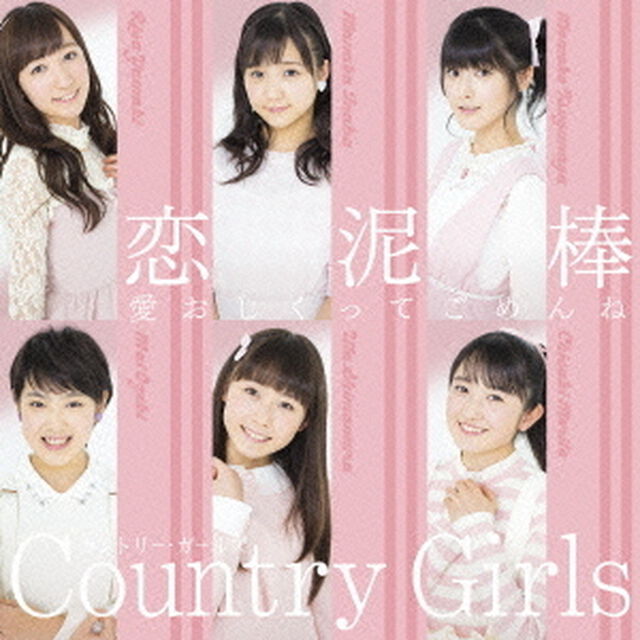 愛おしくってごめんね／恋泥棒（初回生産限定盤B）（CDシングル）