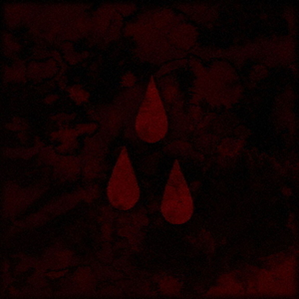 AFI（ＣＤ）