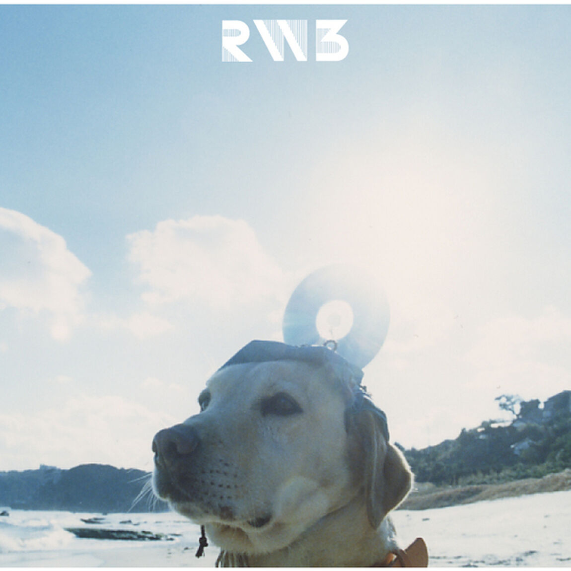 RADWIMPS／RADWIMPS3〜無人島に持っていき忘れた一枚〜（2LP）（アナログ盤）（LP盤（アナログ盤））