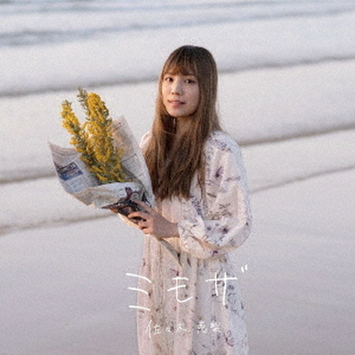 佐々木恵梨／ミモザ（通常盤）（ＣＤ）