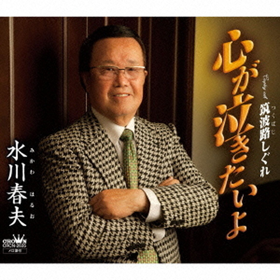 心が泣きたいよ（ＣＤ）