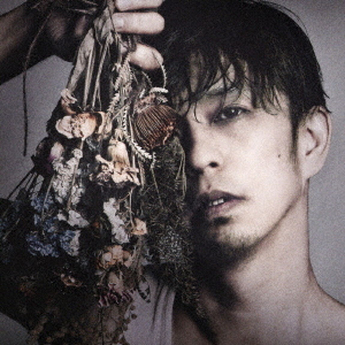 青春（ＣＤ）