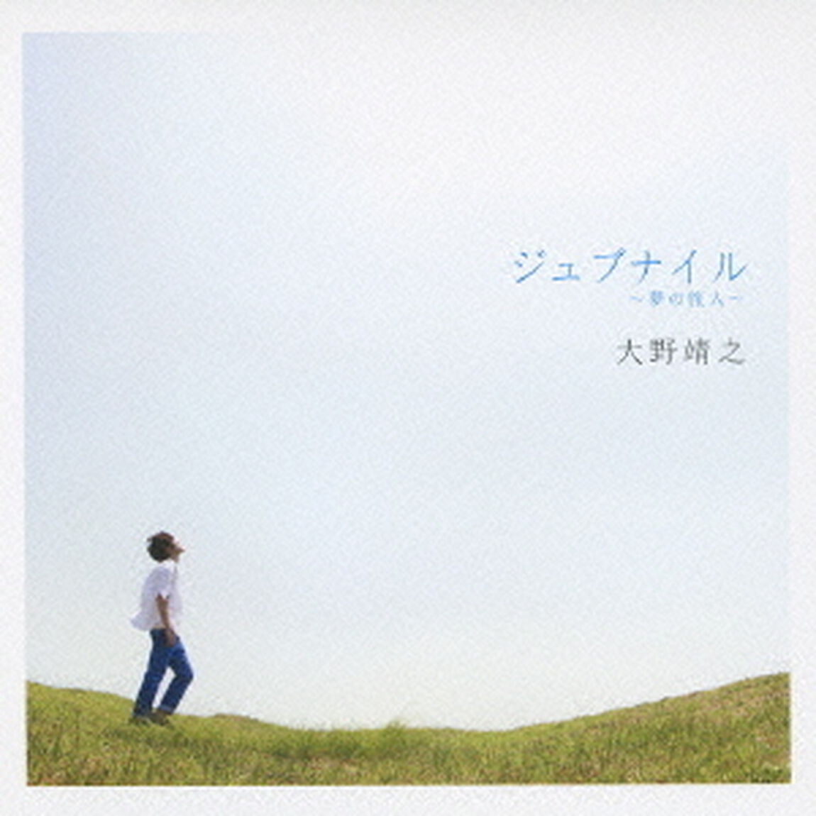 ジュブナイル〜夢の旅人〜（ＣＤ）